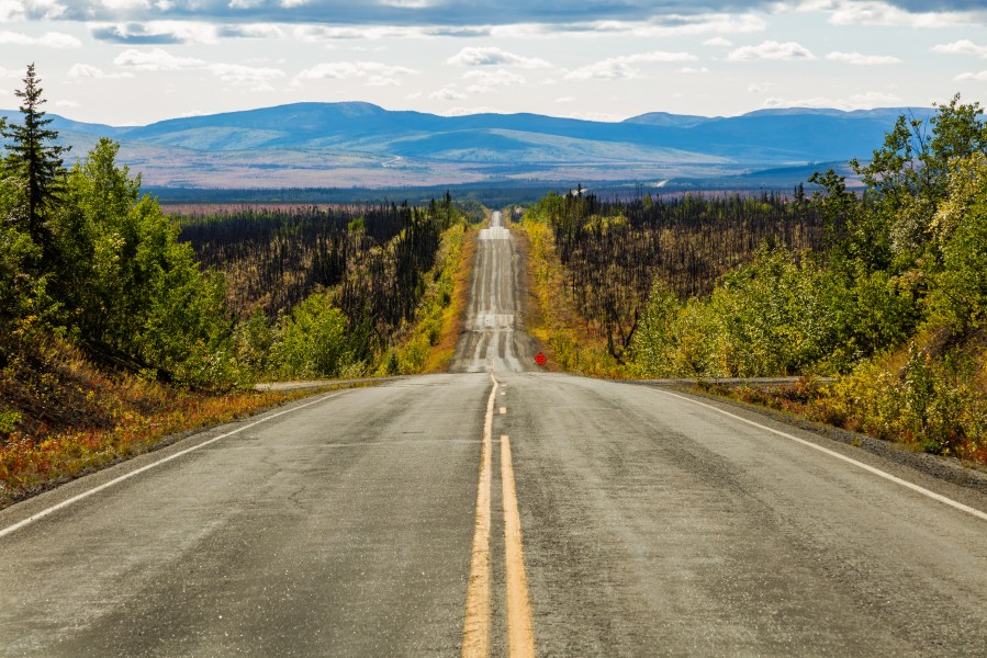 Autopista Taylor, Chicken, Alaska, Estados Unidos, 2017-08-28, DD 102