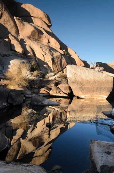Barker Dam Joshua Tree December 2013 002