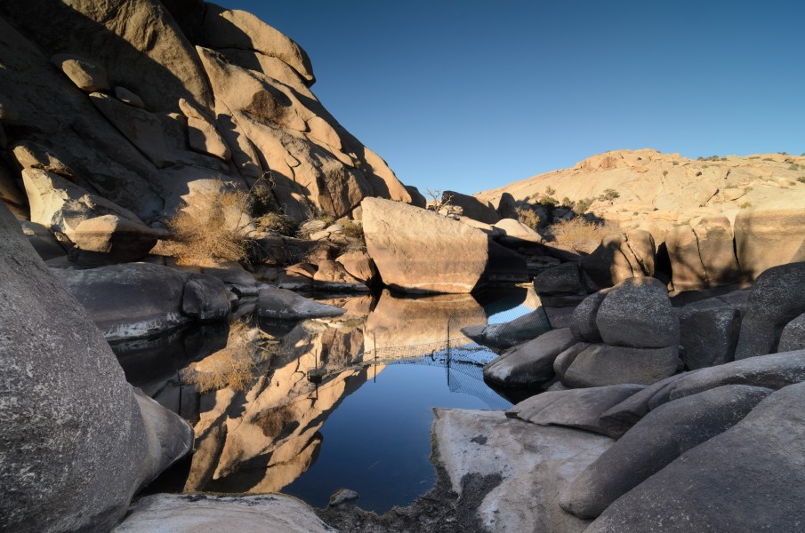 Barker Dam Joshua Tree December 2013 003