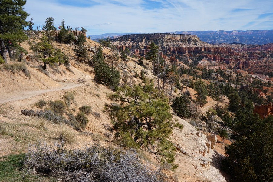 Bryce Canyon en 2016 (8)