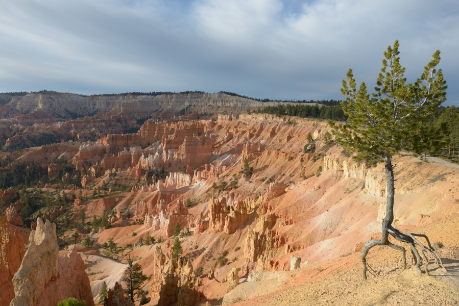 Bryce Canyon USA october 2012 c