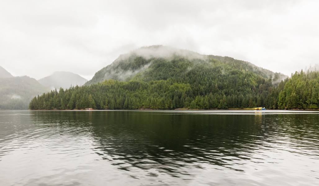 Distrito de Ketchikan Gateway, Alaska, Estados Unidos, 2017-08-16, DD 15