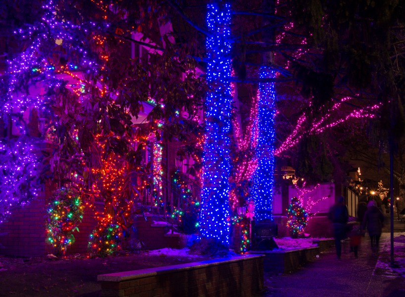 Dyker Lights (62299)