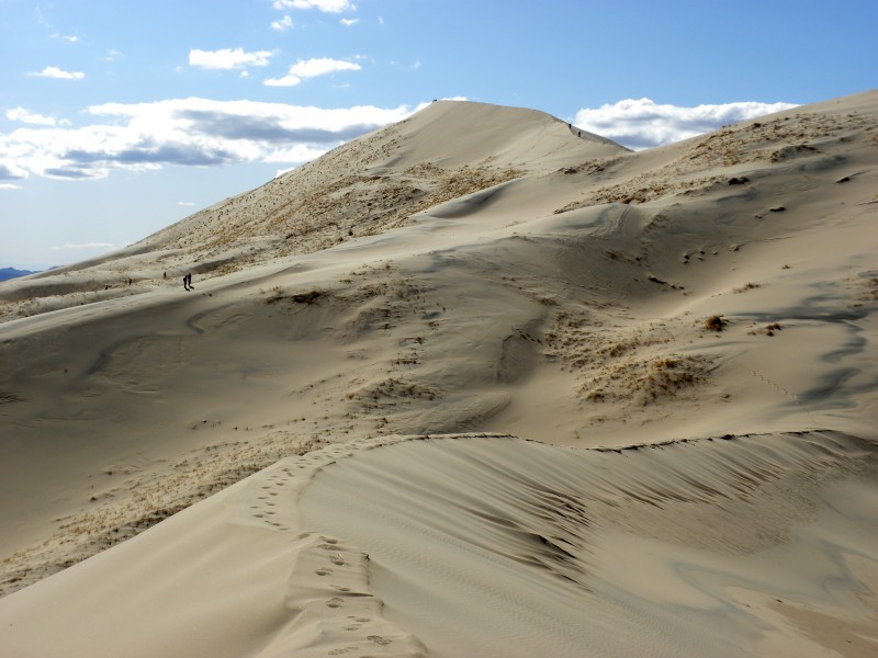 KelsoDunesMarch2010