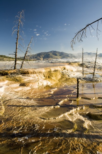 Mammoth hot springs yellowstone
