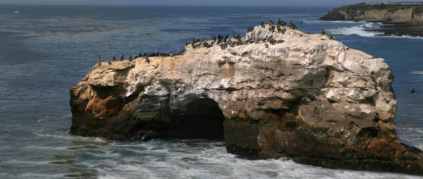 Natural Bridges State Park