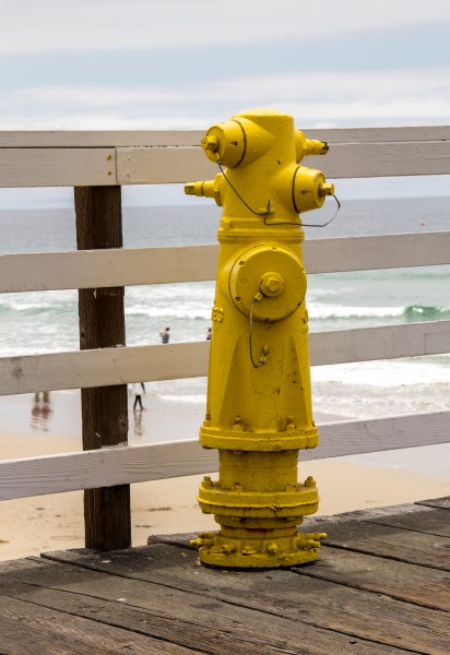 Pismo Beach (California, USA) -- 2012 -- 9
