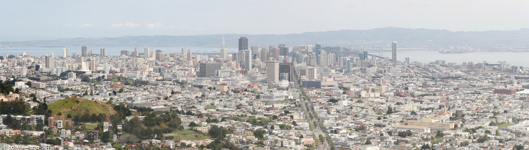 San Francisco 1 crop