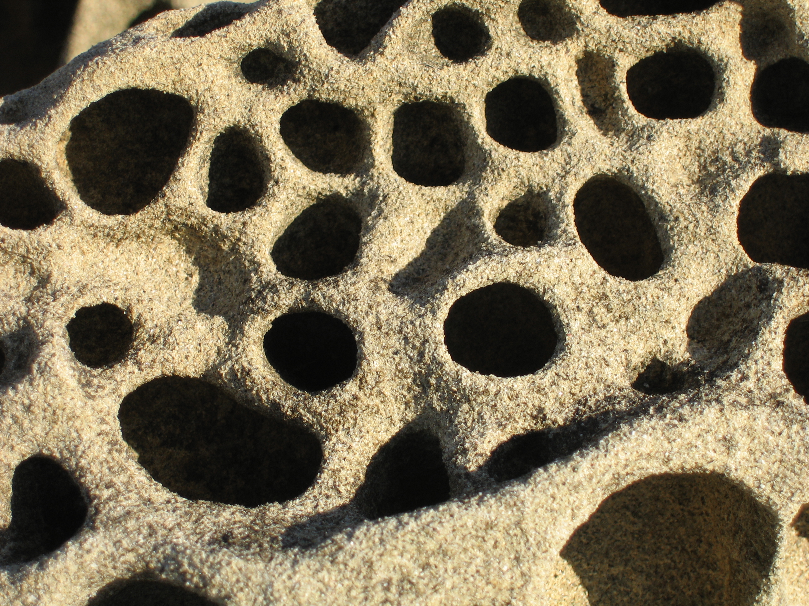 Tafoni 02