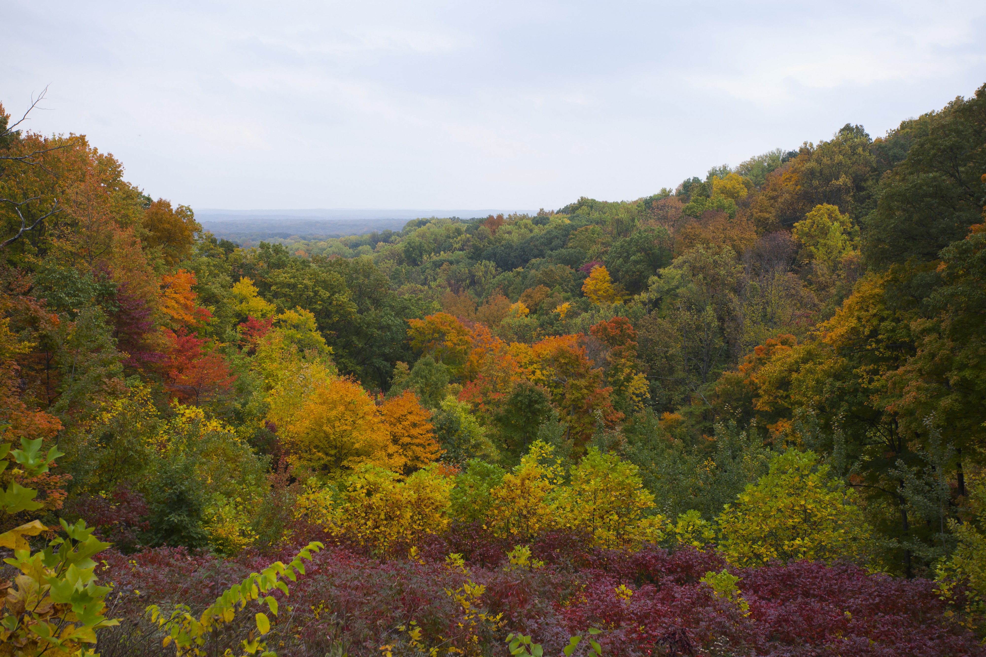 Parque Estatal Brown County, Indiana, Estados Unidos, 2012-10-14, DD 10