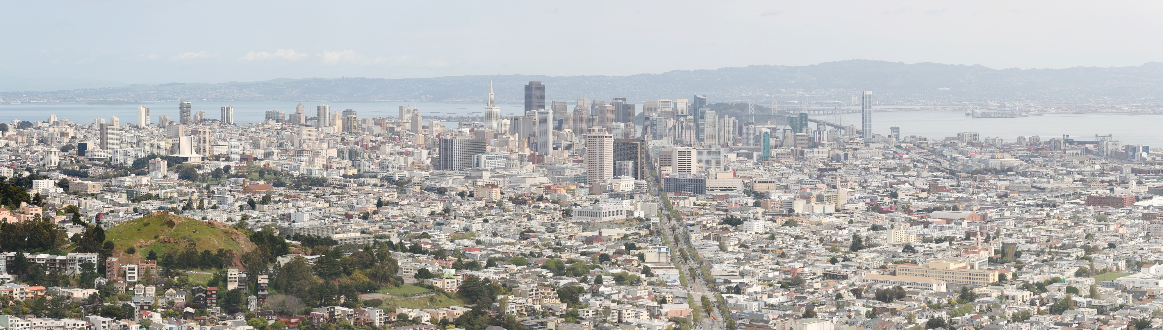 San Francisco 1 crop
