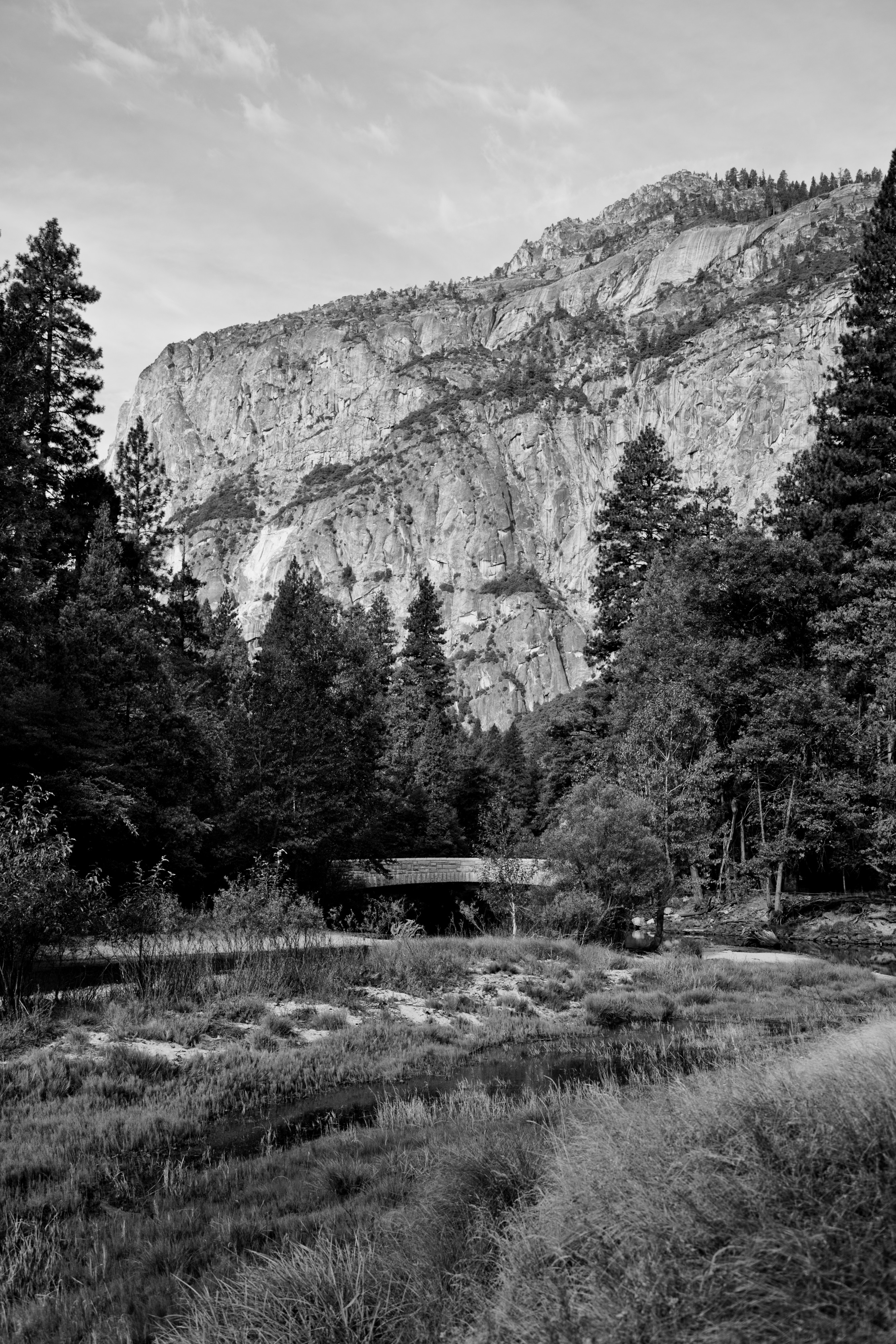 Sentinel Bridge-4