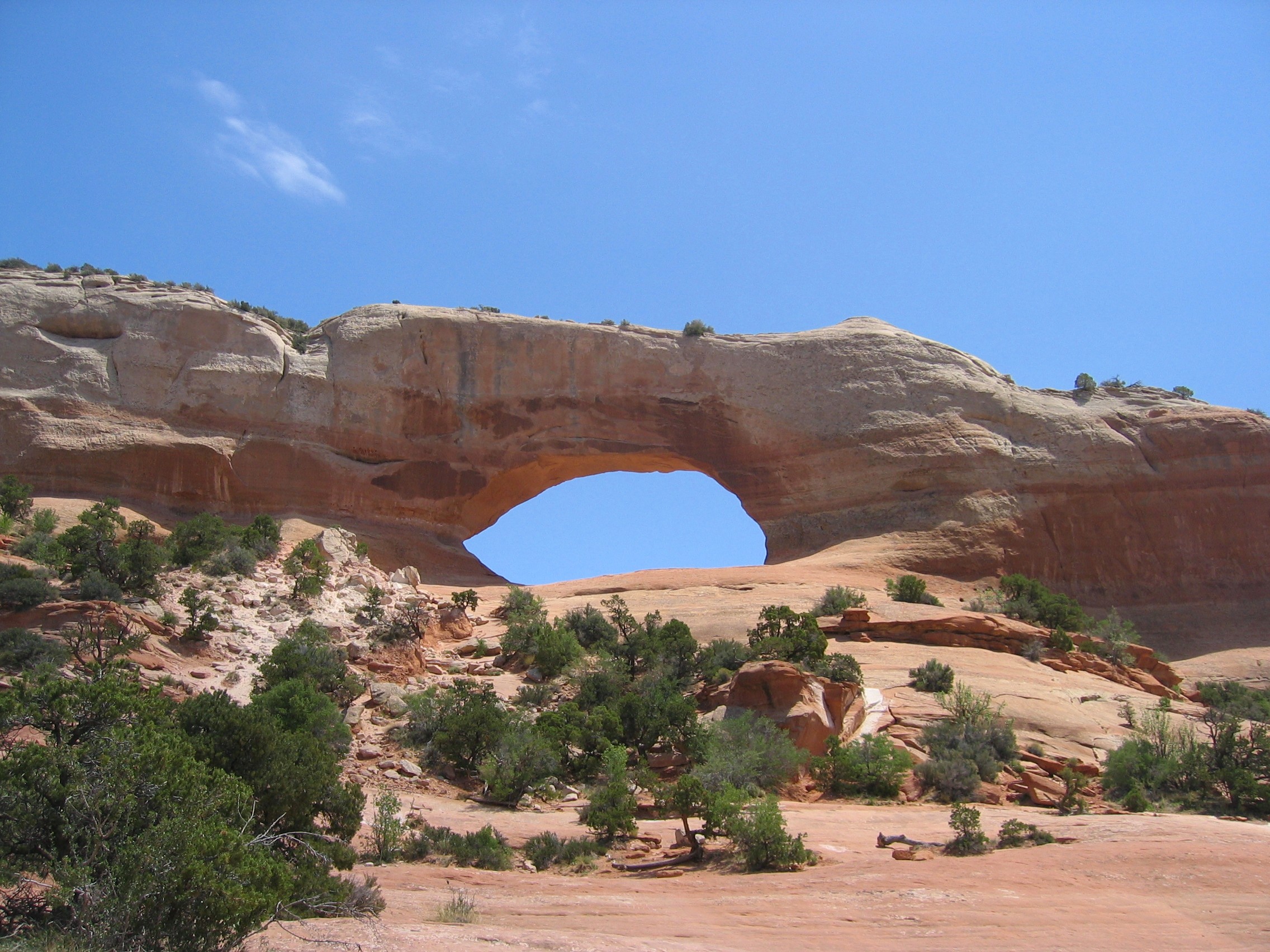Wilson Arch 1