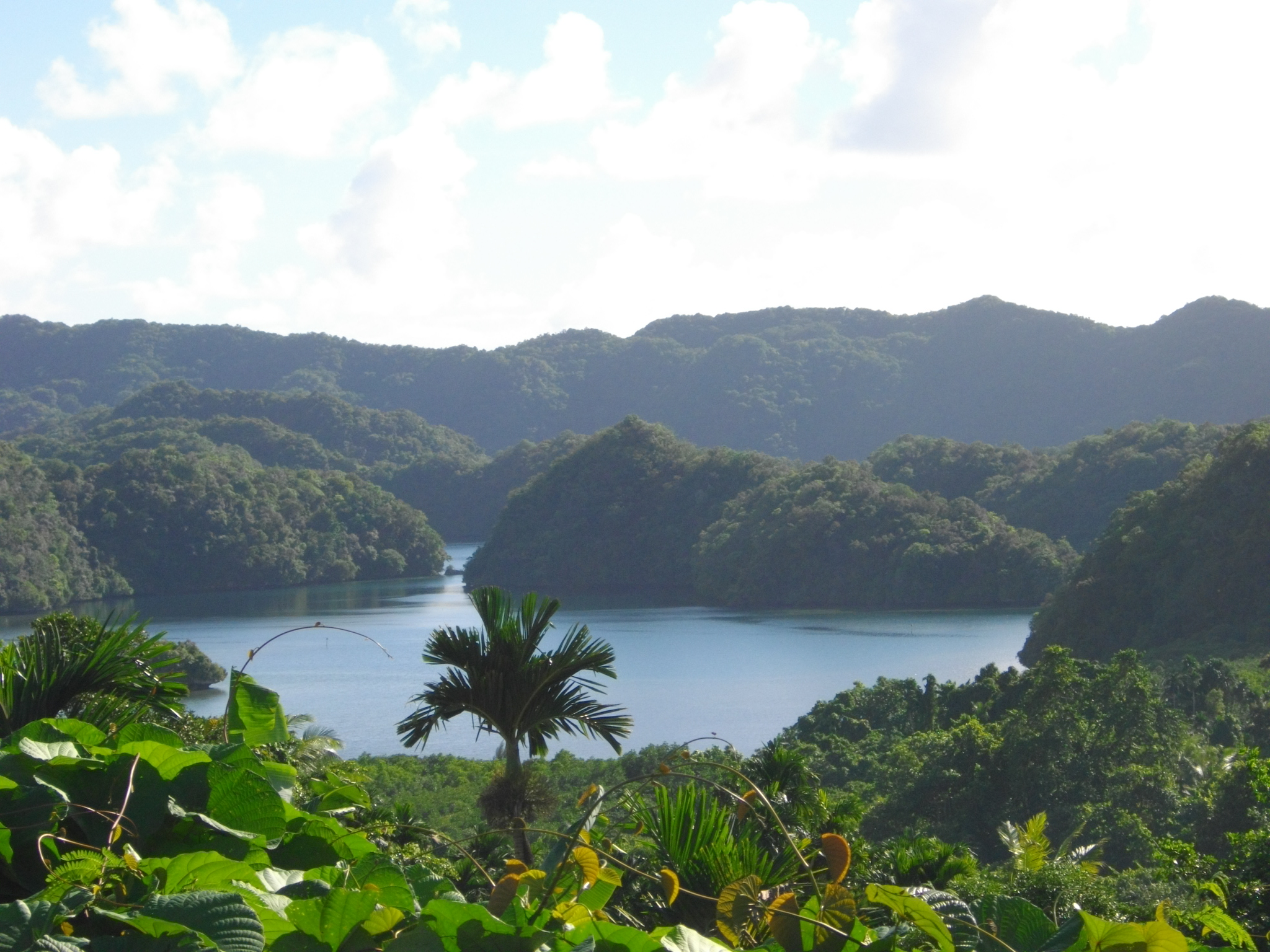 Iwayama Bay