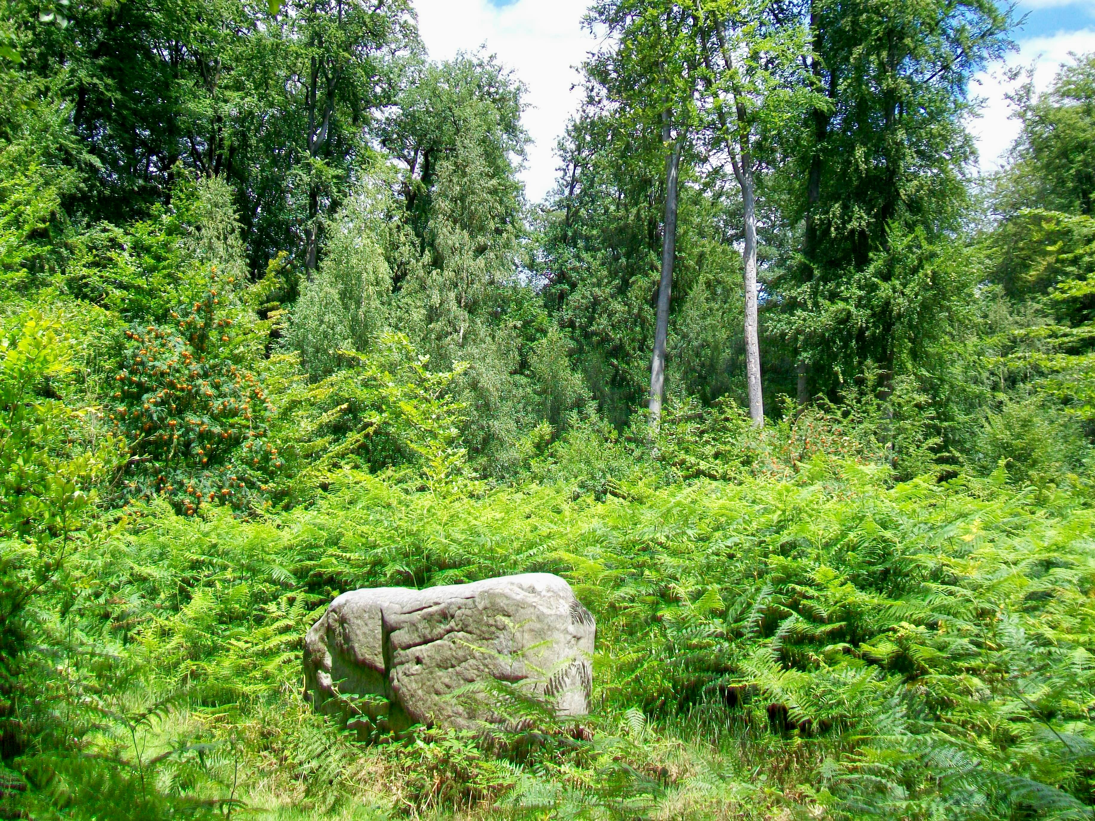 Villers-Saint-Frambourg (60), dolmen 'Le Cheval Blanc' (parcelle 102, près du chemin du Cheval Blanc)