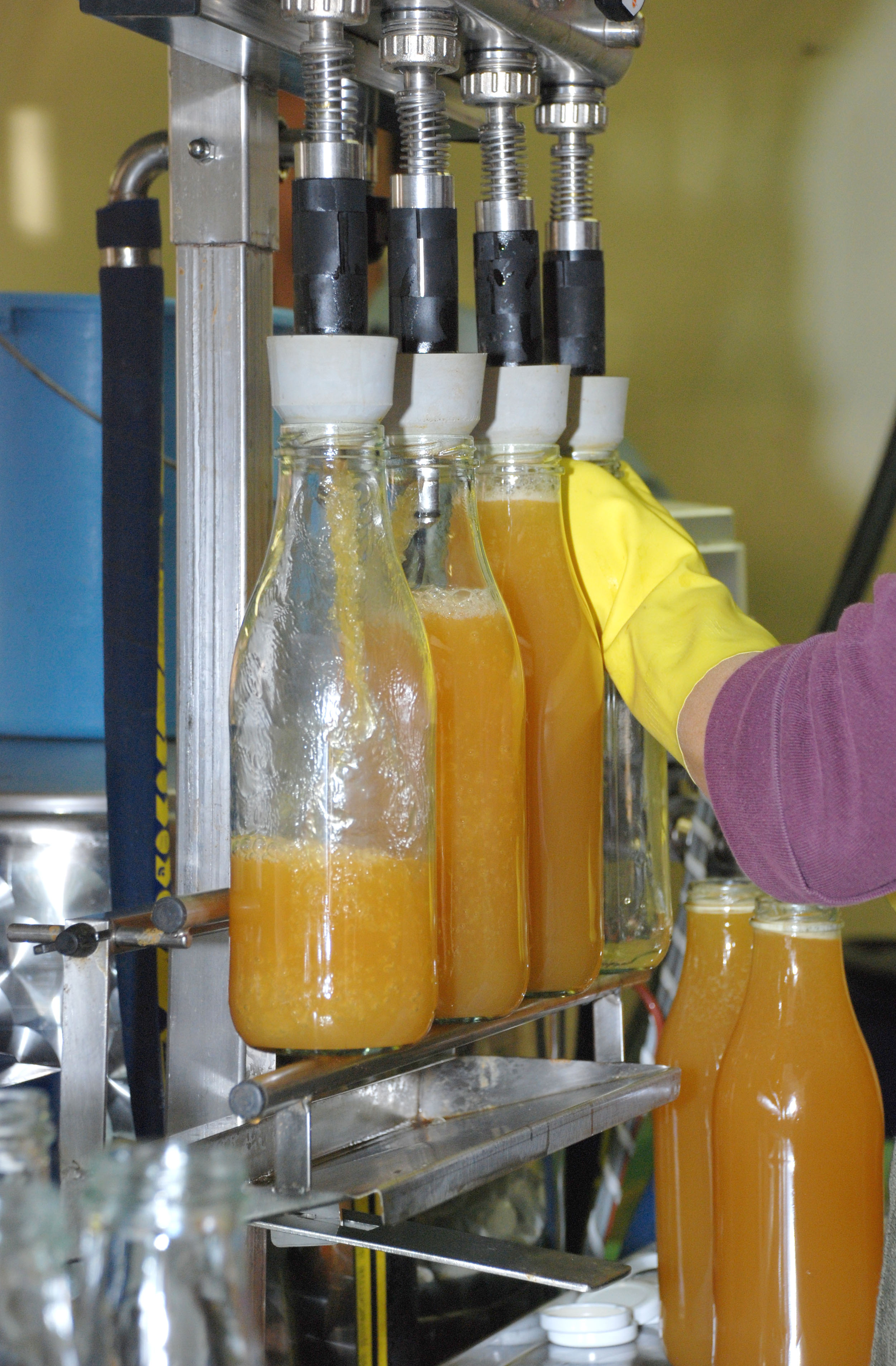 Apfelsaft101008