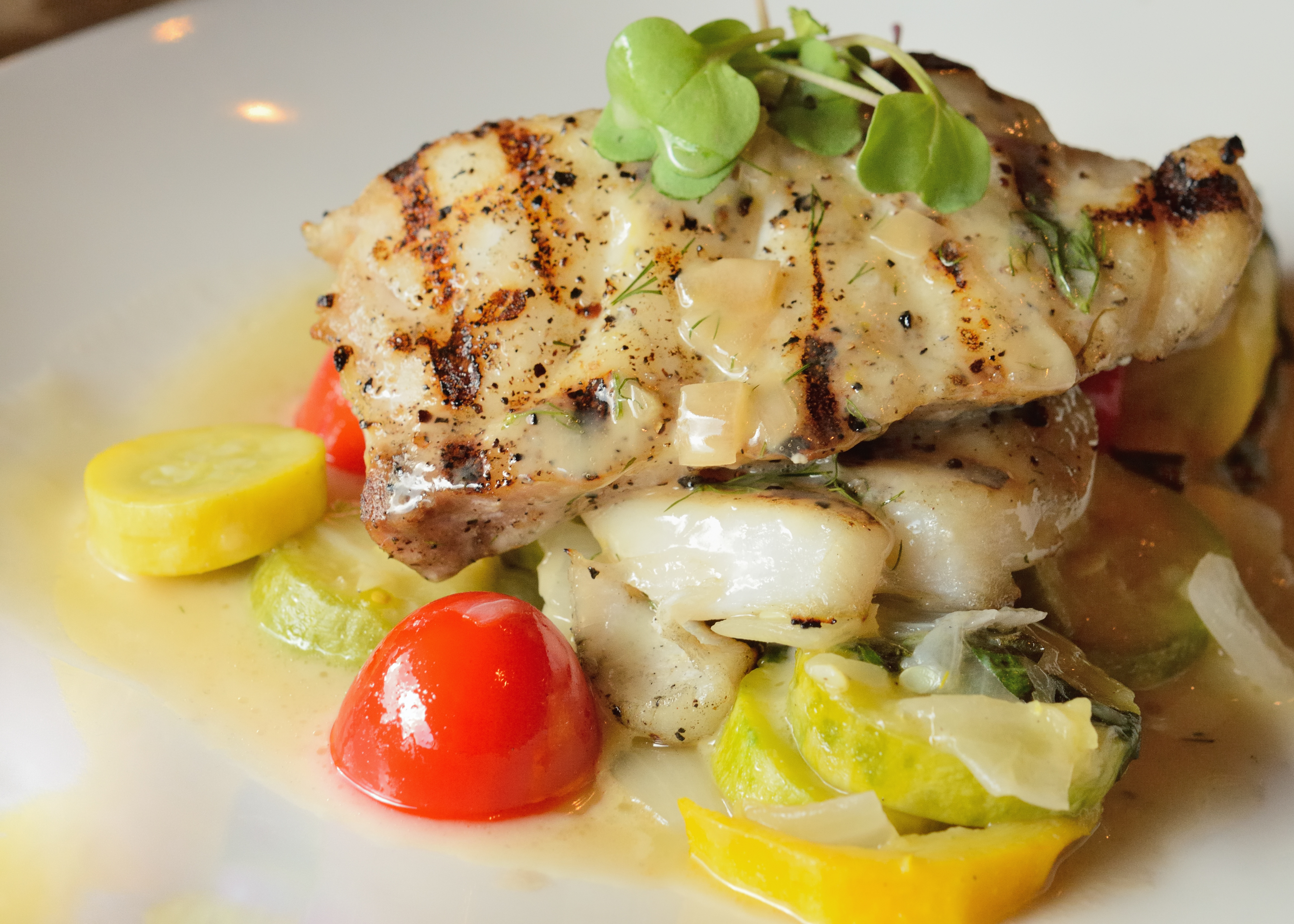 Black Grouper (7623700860)