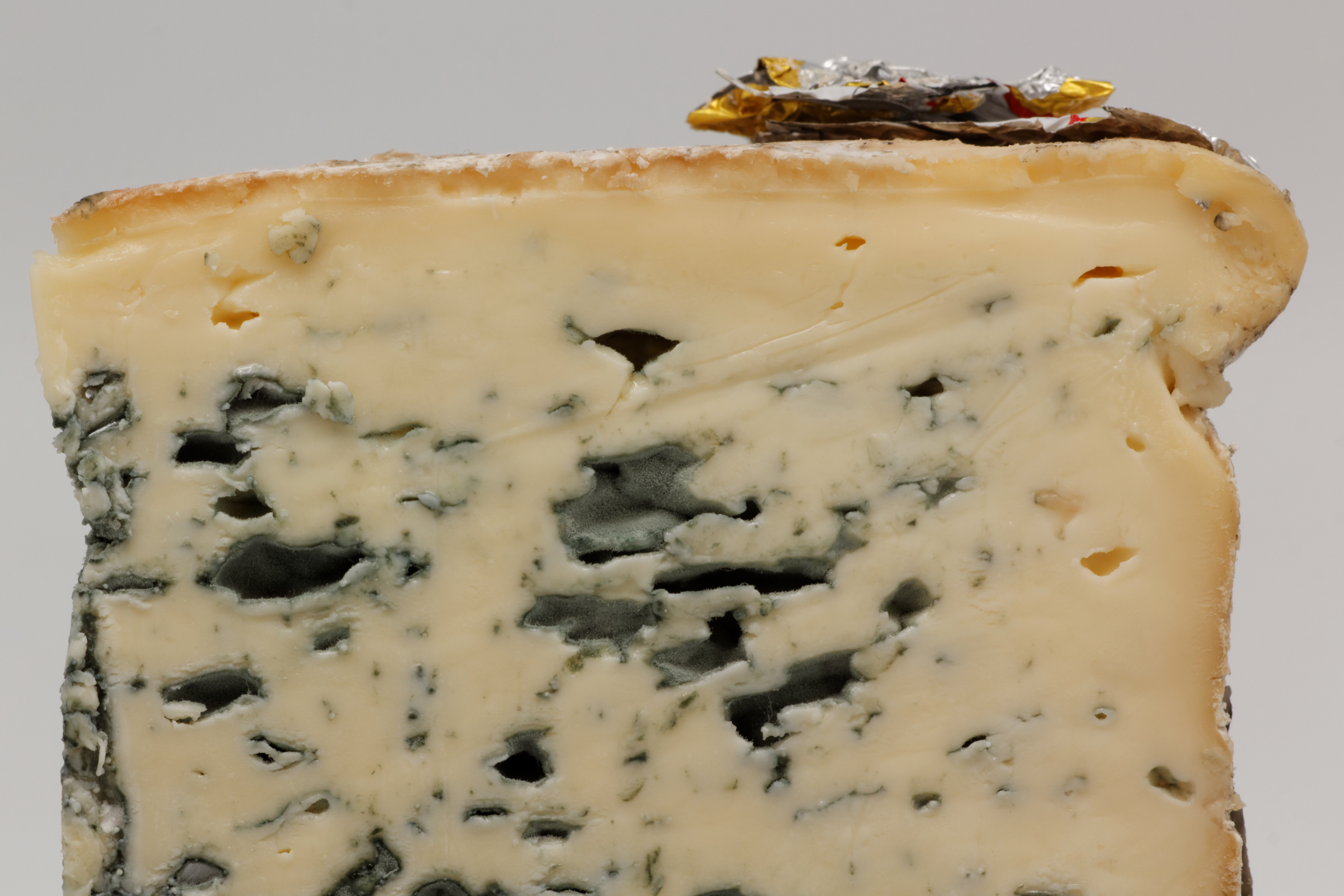 Bleu d'Auvergne 04