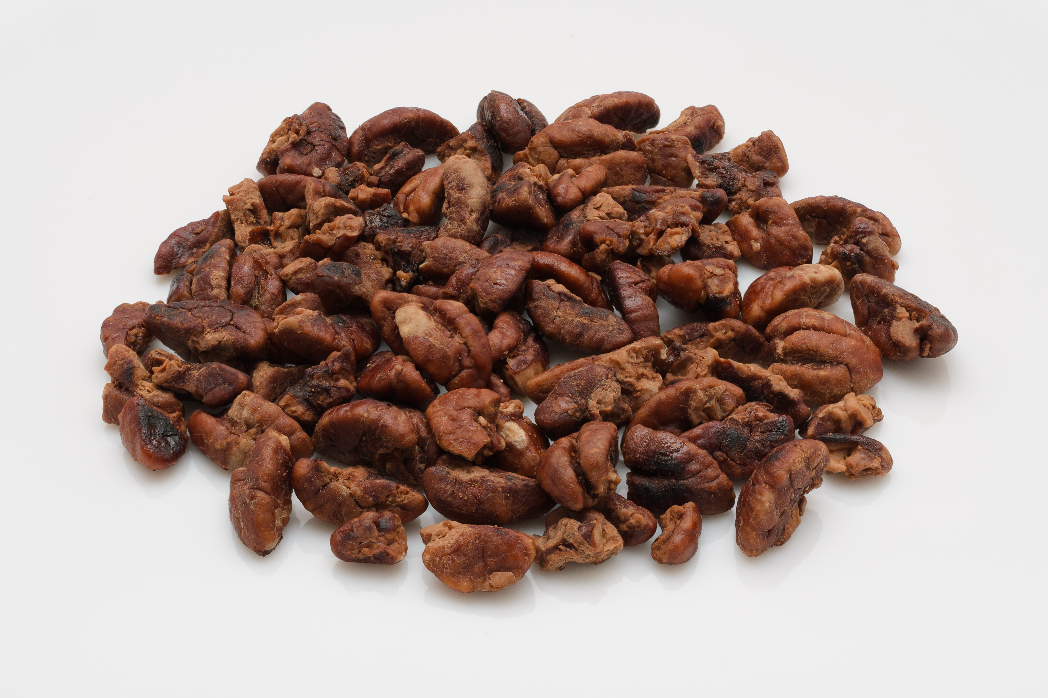 Carya cathayensis nuts