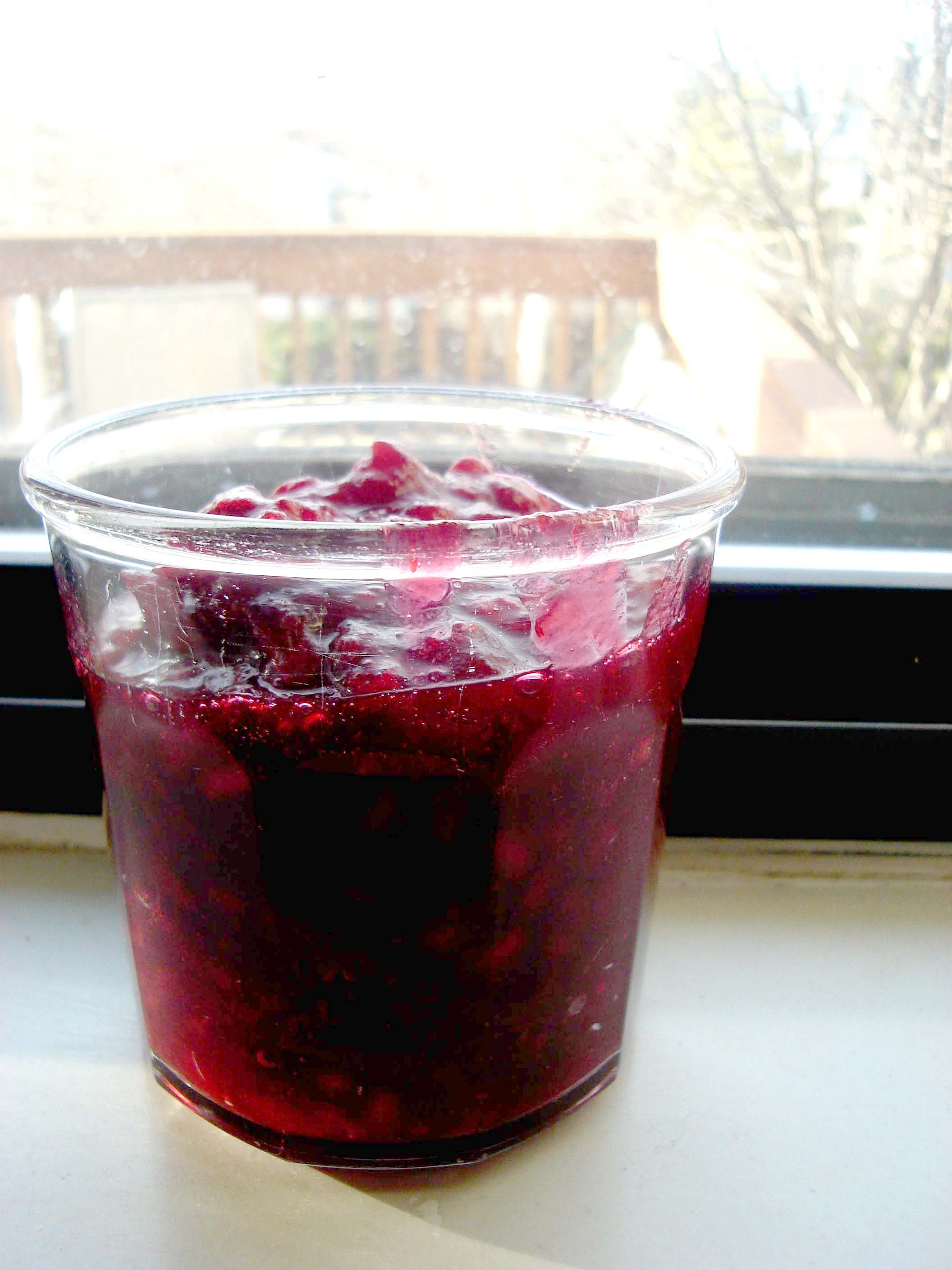 Cranberry and pomegranate sauce (303280803)
