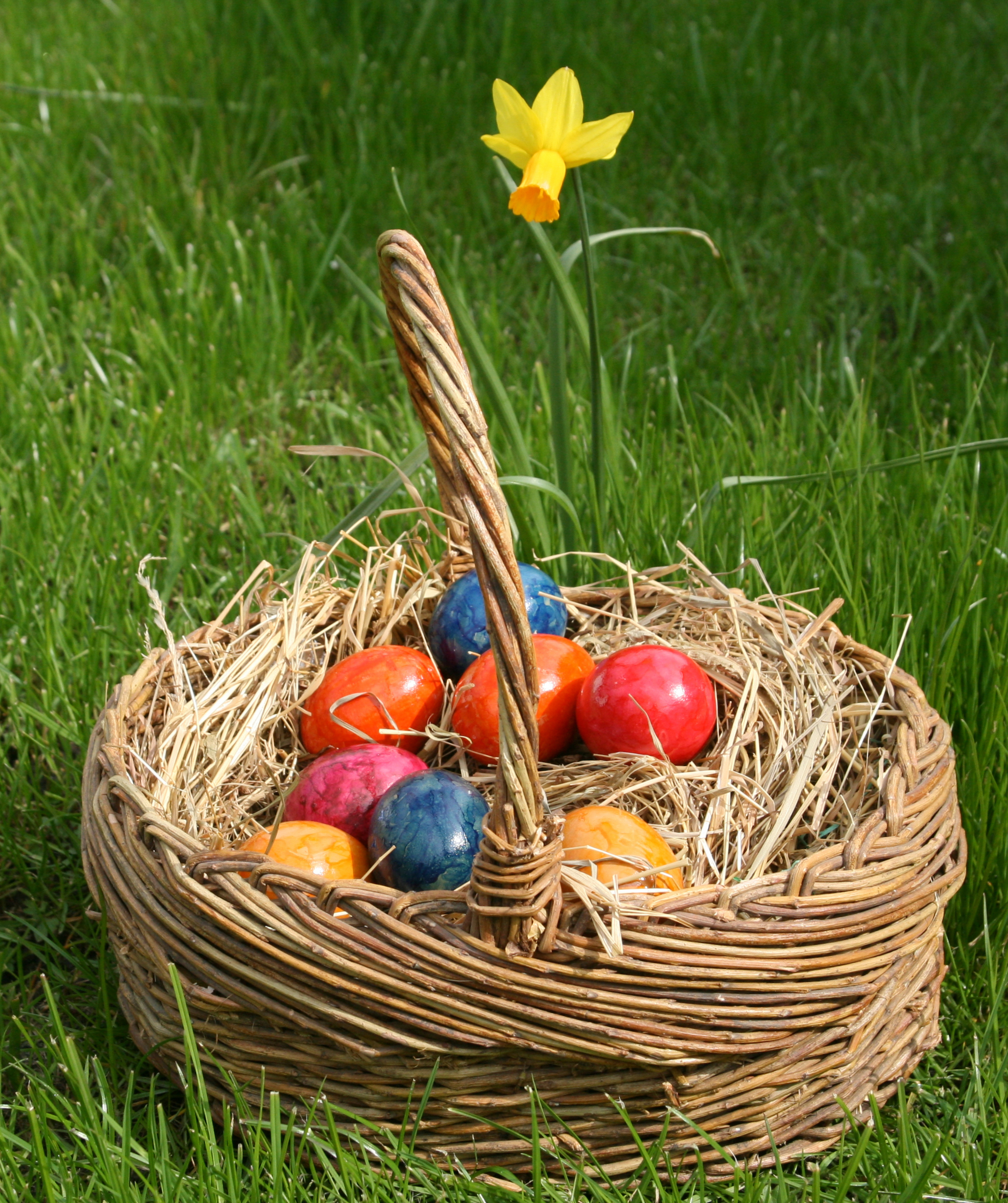 Eastereggs ostereier