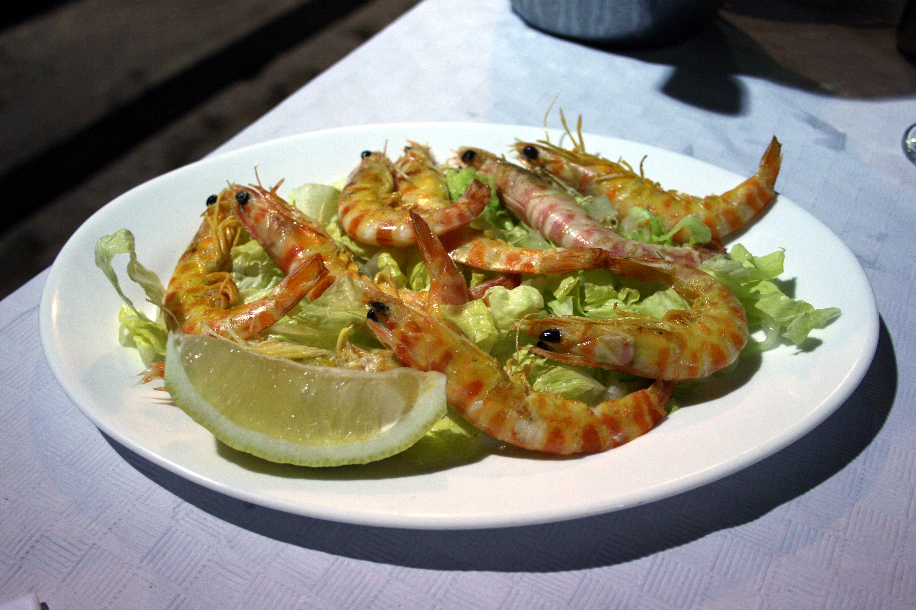 Gamba tigre- 2009