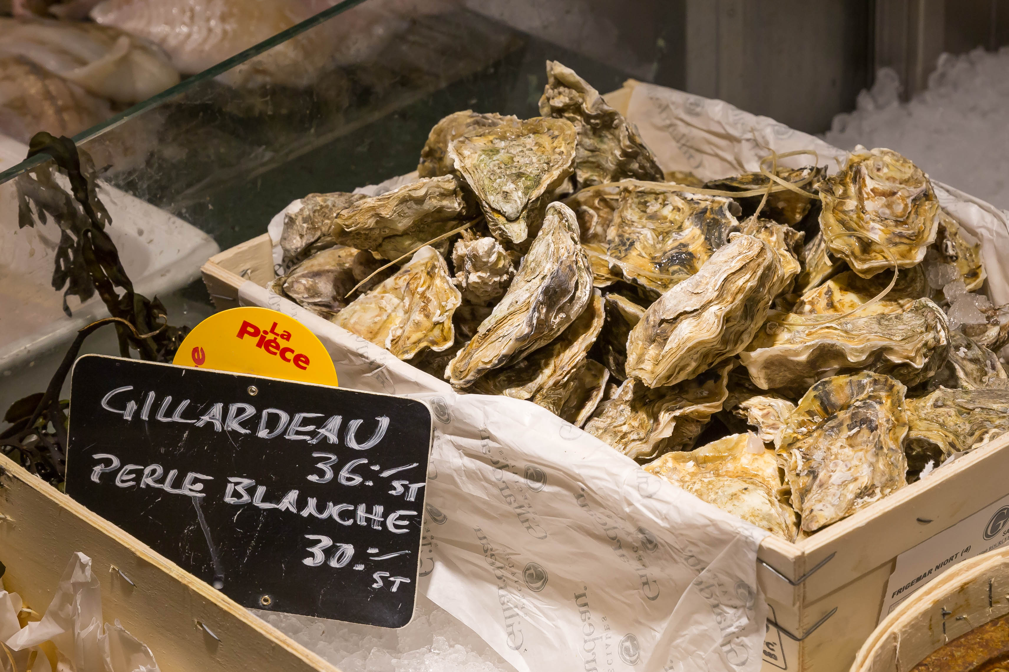 Gillardeau-Austern (Oysters) (32497478205)