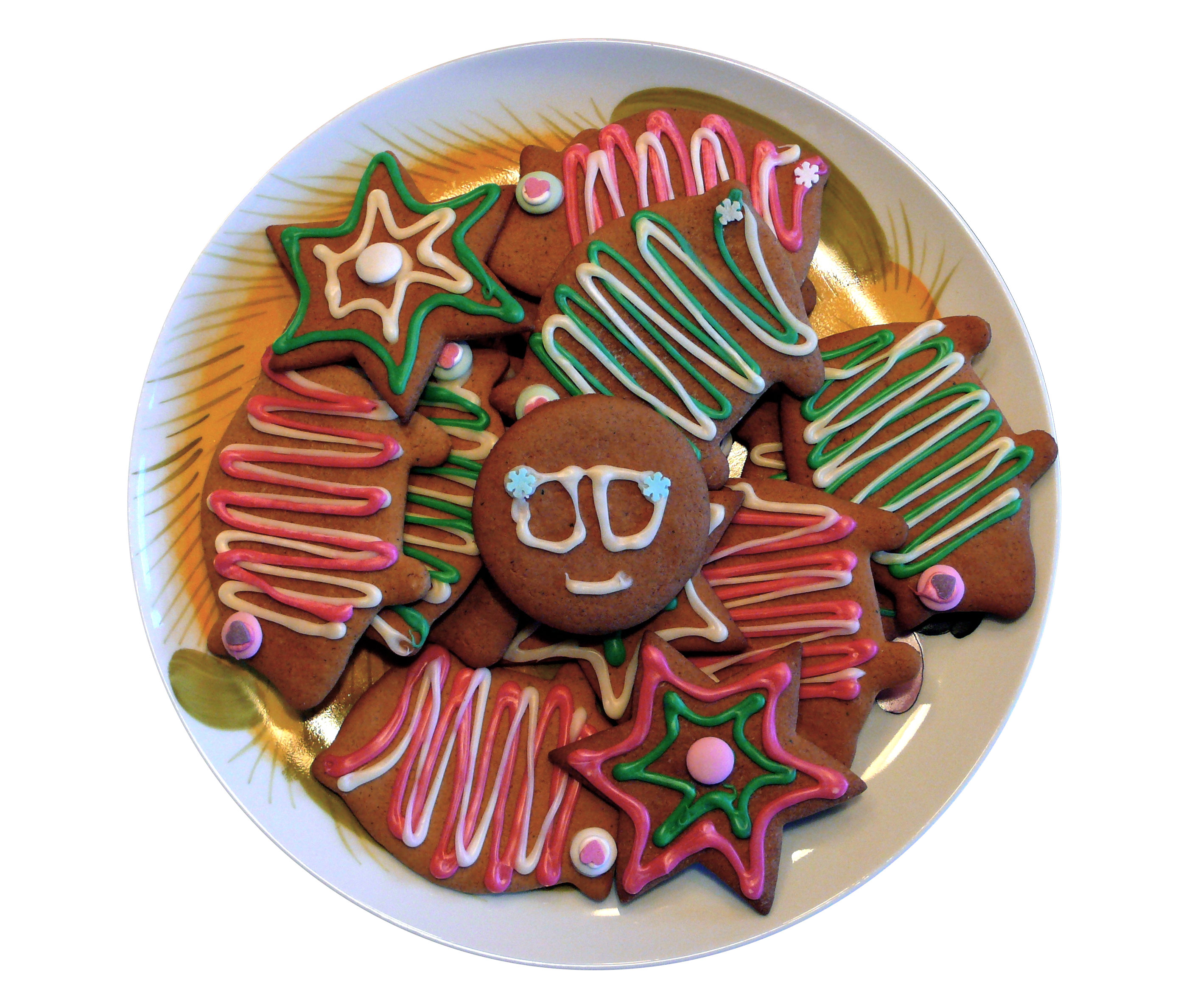 Kekkonen at Hawaii gingerbread 2