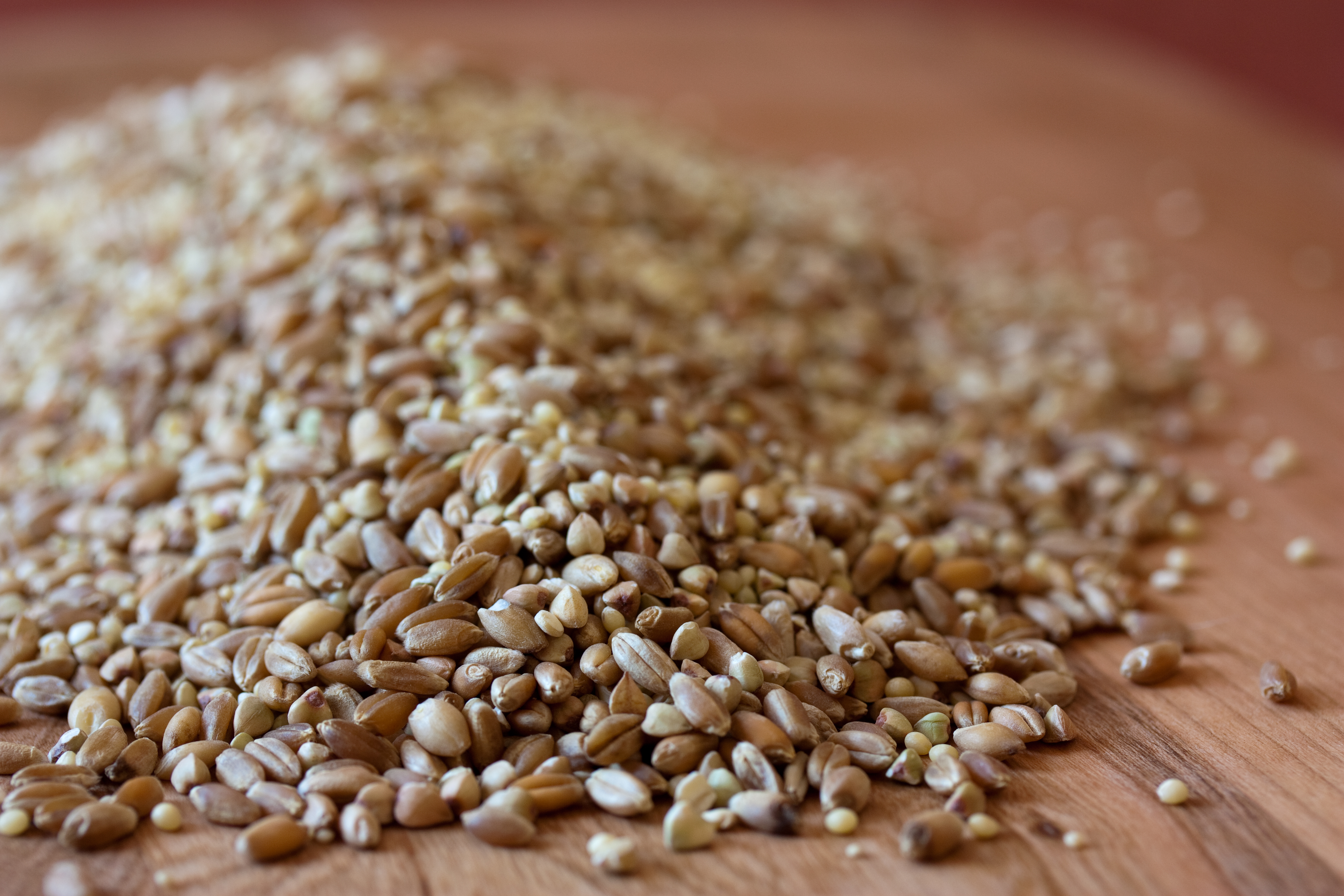 Mixed Grains (5662575503)