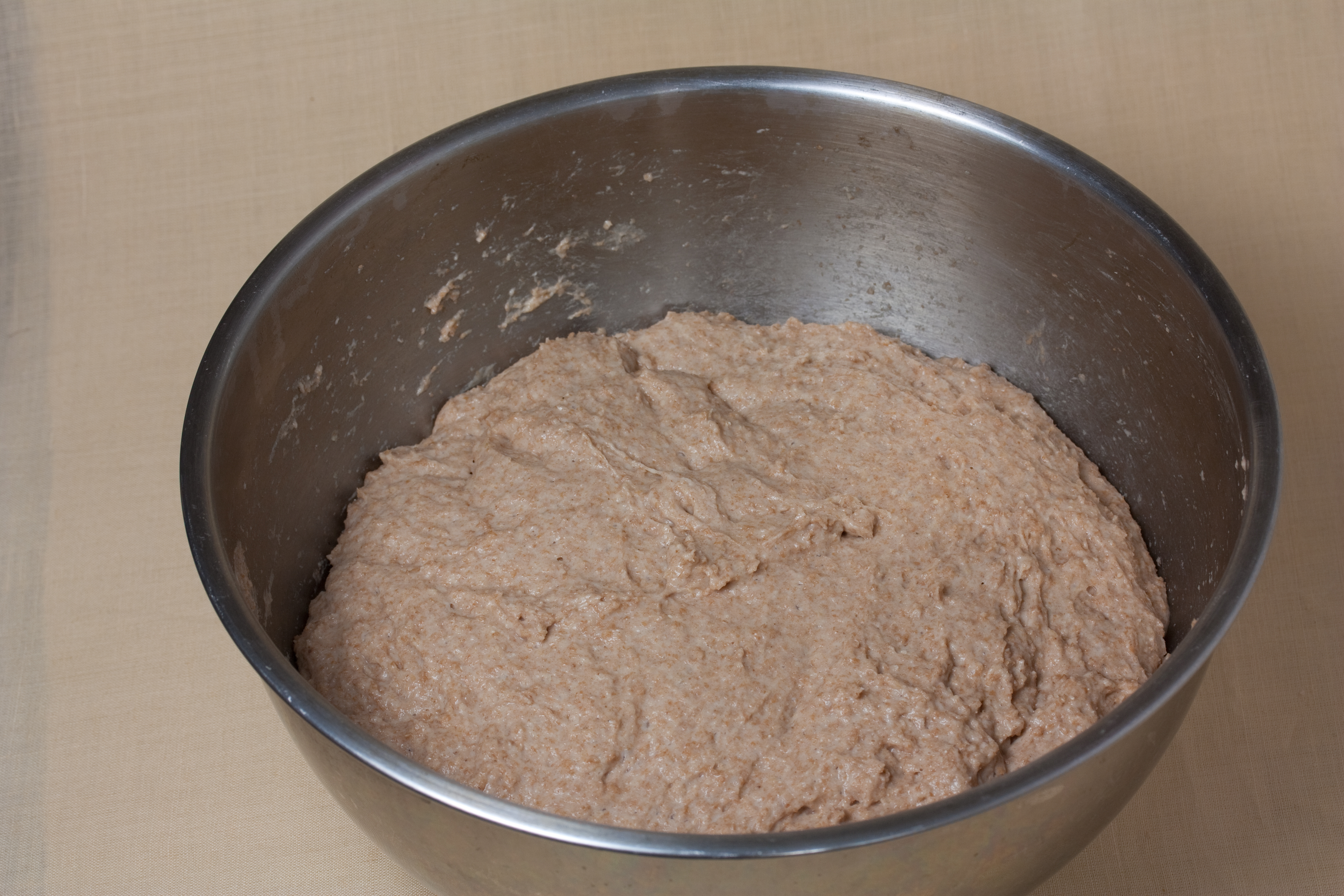 No Knead Whole Wheat Bread Dough First Rise (5056631092)