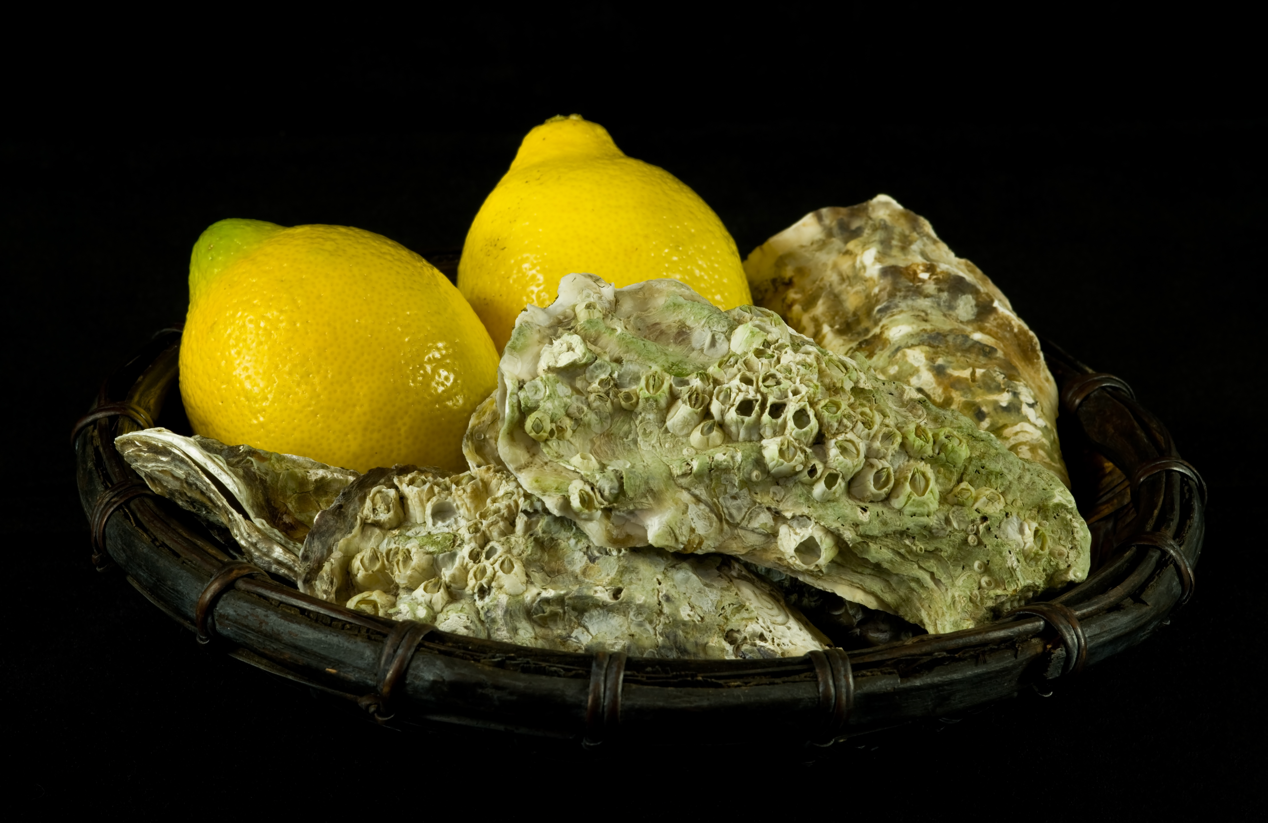 Oysters lemons basket