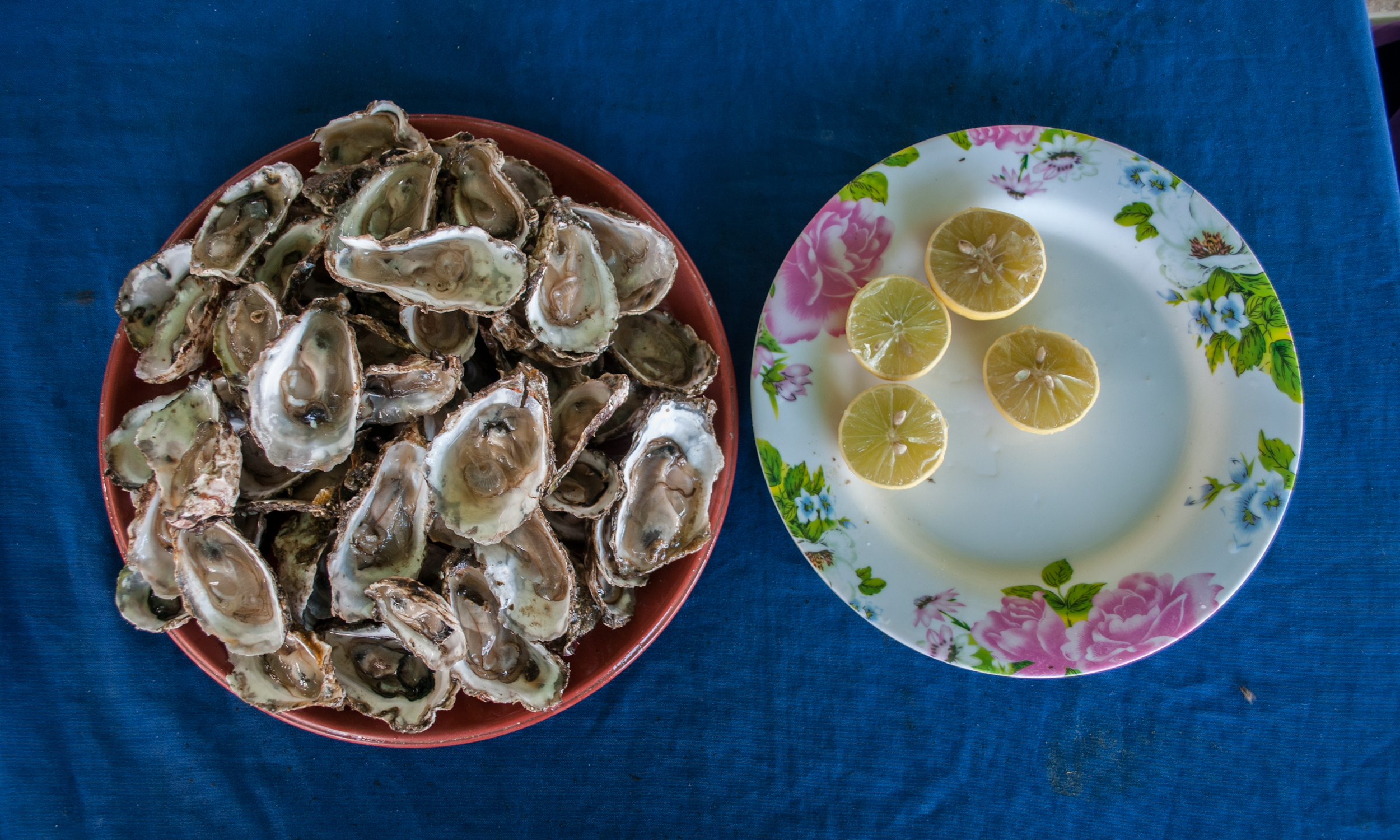 Plate of oysters with lemon