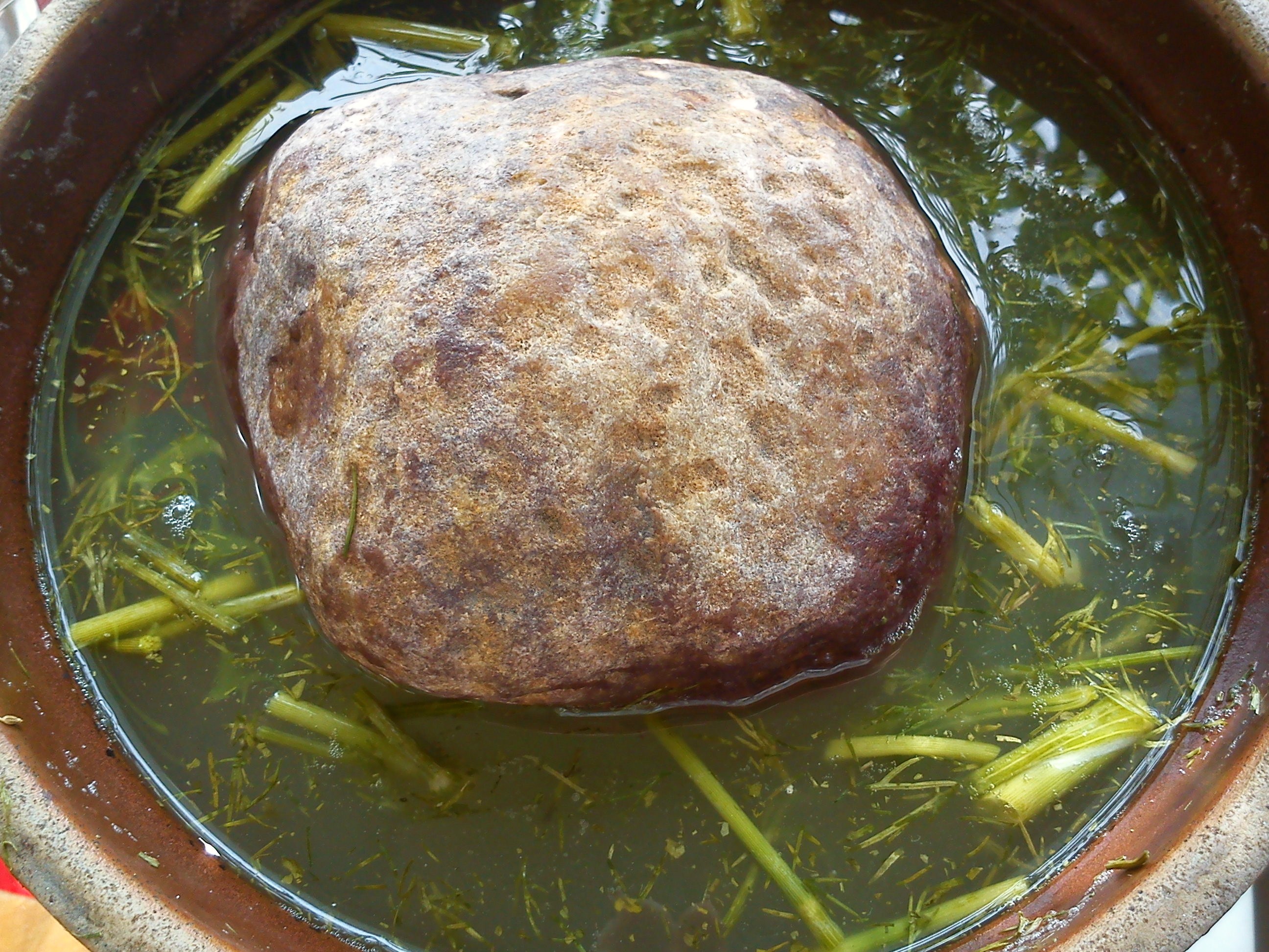 Polish cucumbers malosolne (4)