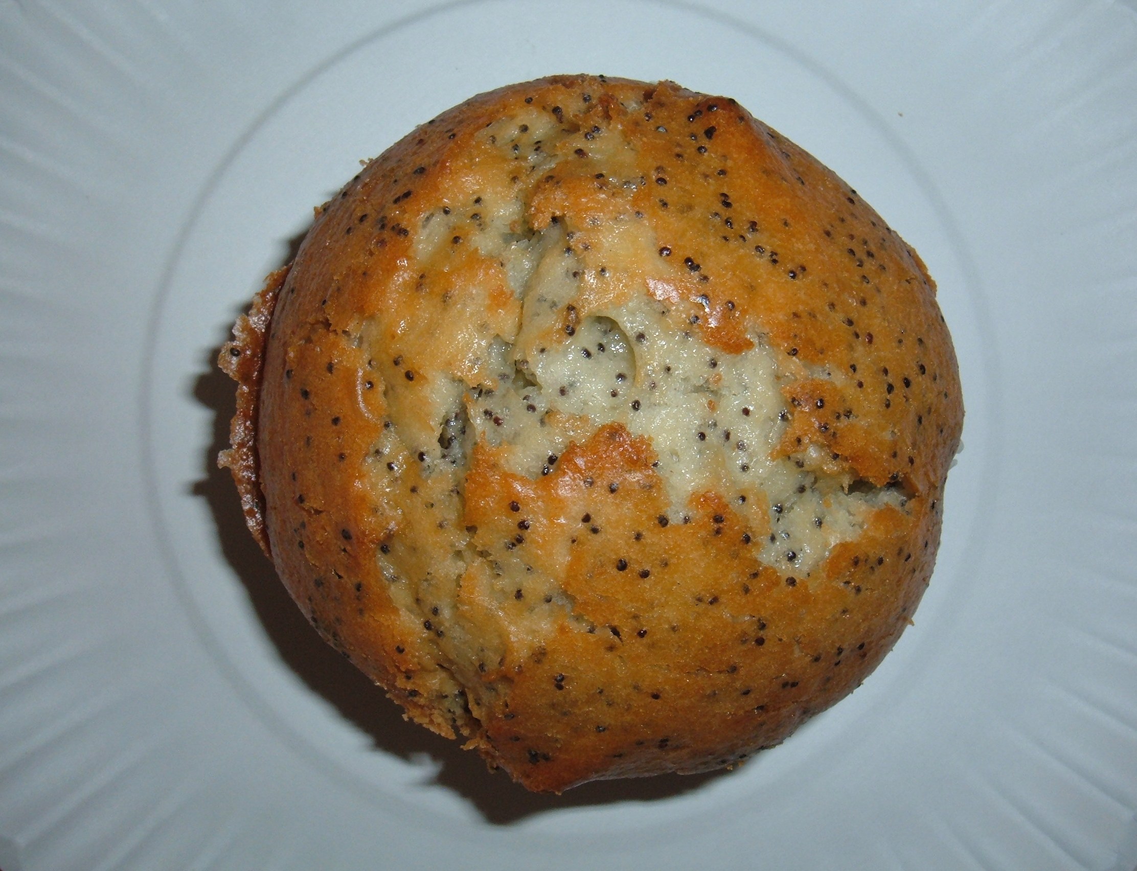 Poppy seed muffin