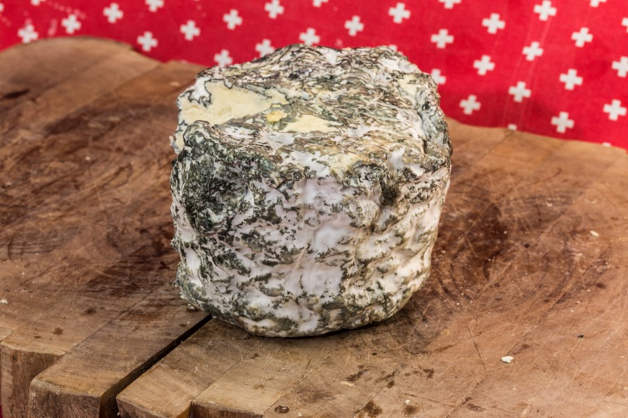 2015-01-25 Jersey Blue - Städtchäsi Lichtensteig - der Schweizer - hu - 7991