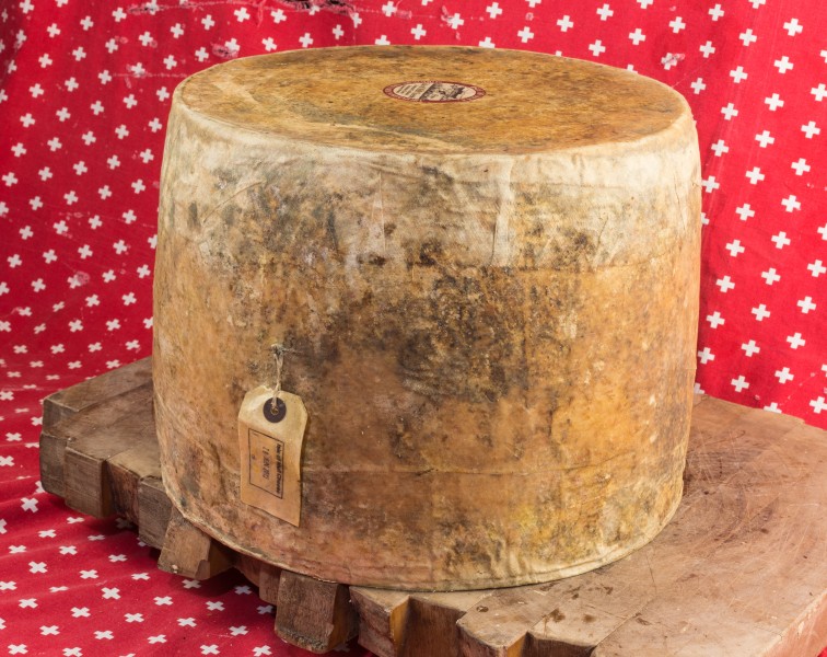 2015-01-25 Tobermory, Isle of Mull Cheese Sgriob-ruadh Farm - hu - 7901