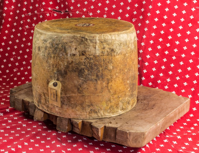 2015-01-25 Tobermory, Isle of Mull Cheese Sgriob-ruadh Farm - hu - 7902