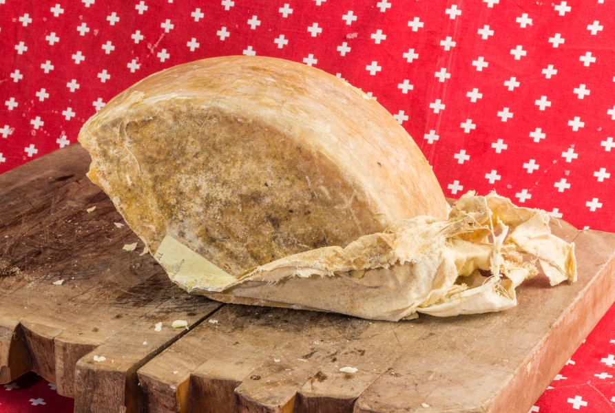 2015-01-25 Tobermory, Isle of Mull Cheese Sgriob-ruadh Farm - hu - 7933