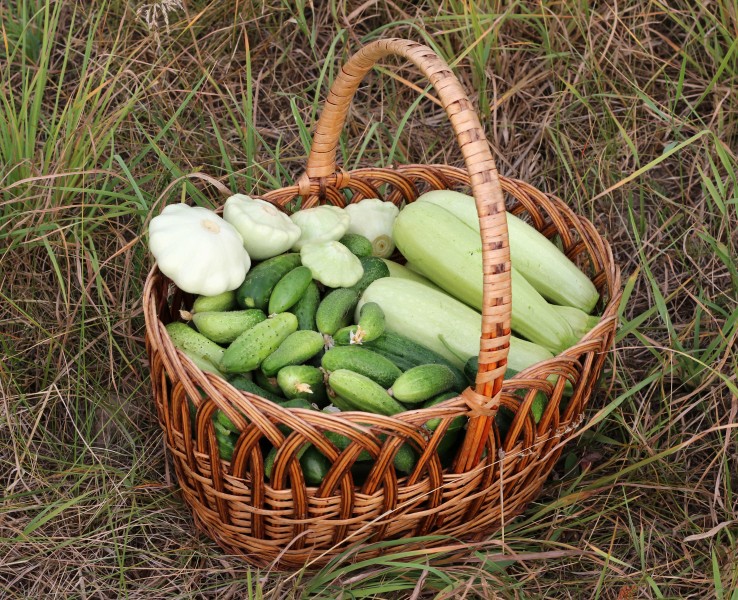 Basket with vegetables 2017 G1
