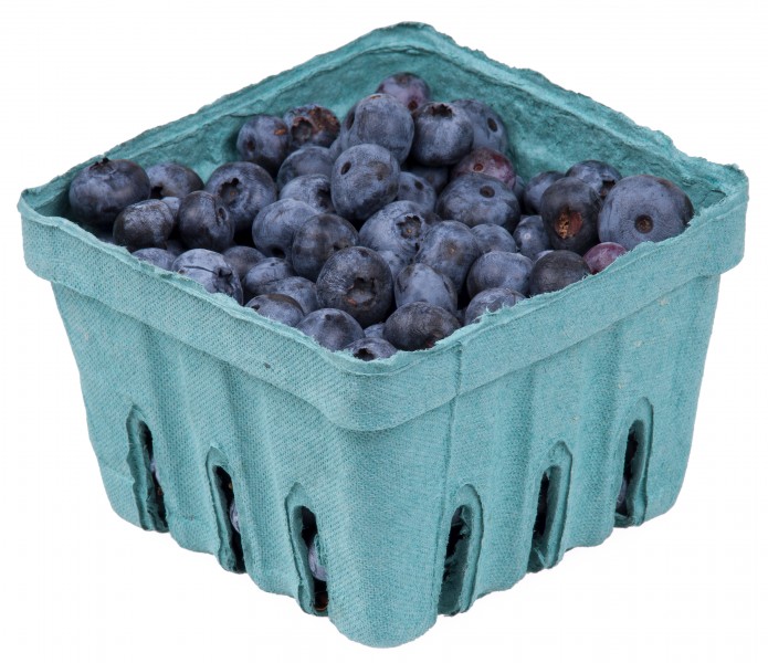 Blueberries-In-Pack