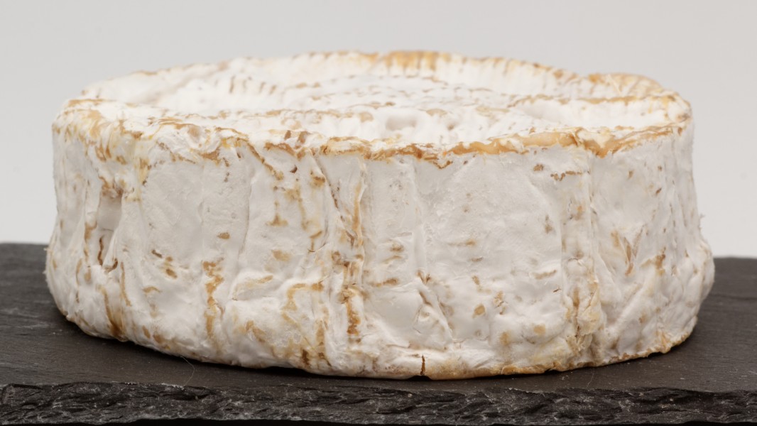 Camembert de Normandie (AOP) 10