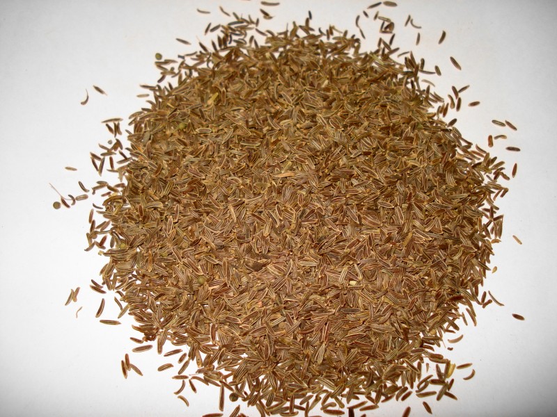 Caraway