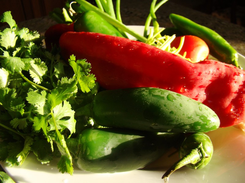 Chillis and Coriander (4884045579)