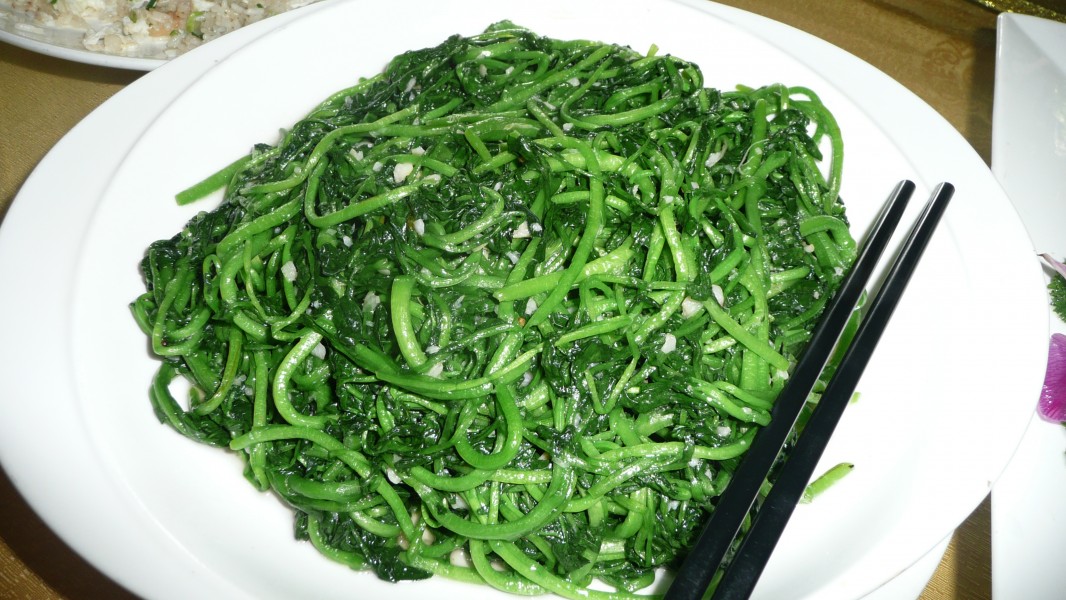 Cuisine of China 0043