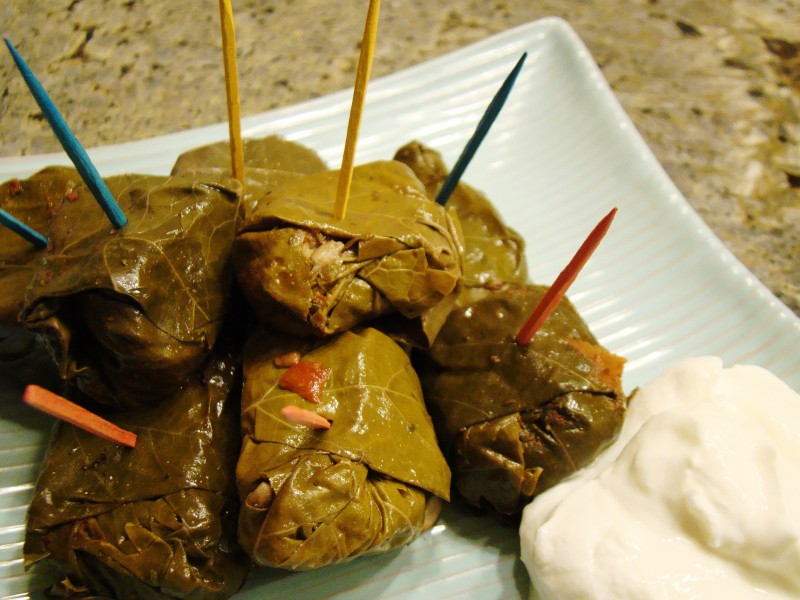 Dolmas (5032444706)