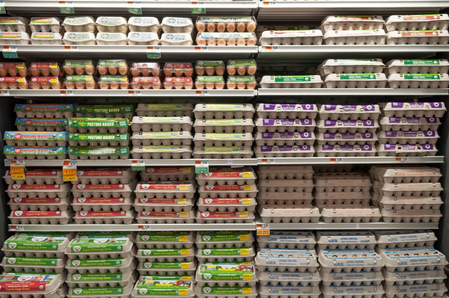 Eier - Eggs (26493662220)