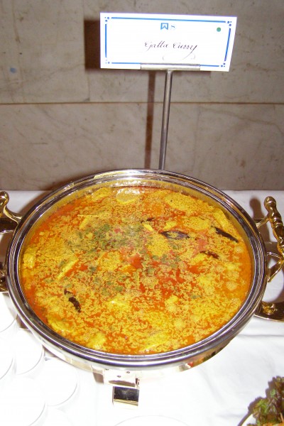 GattaCurry