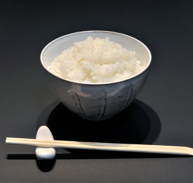 Meshi 001