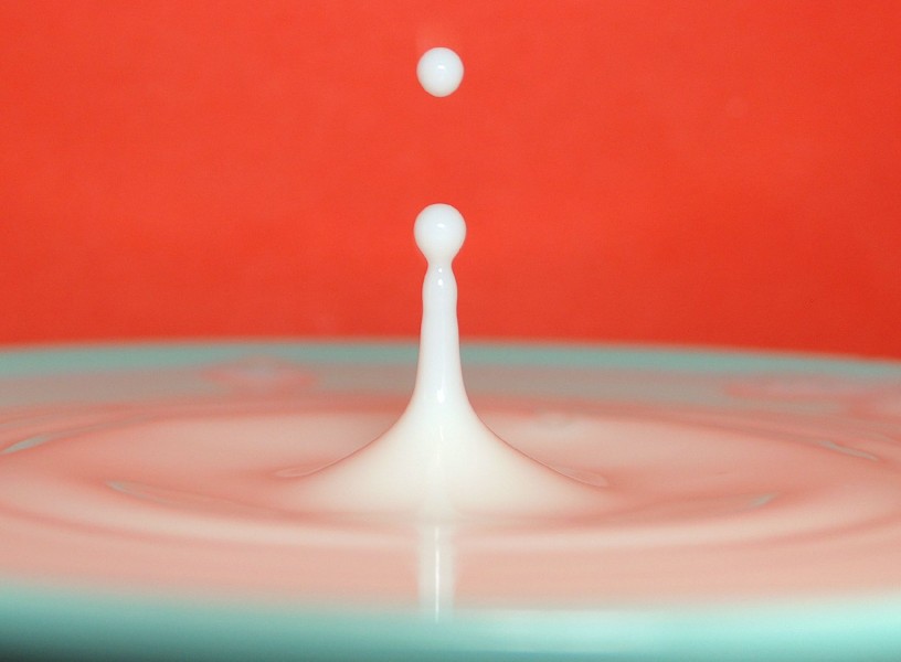 Milk drop (speed photo)