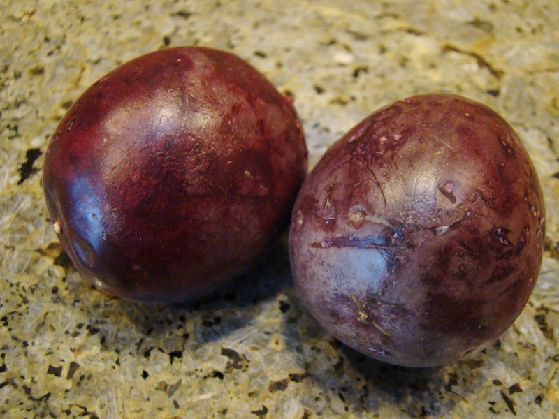 Passion Fruit (4461911416)